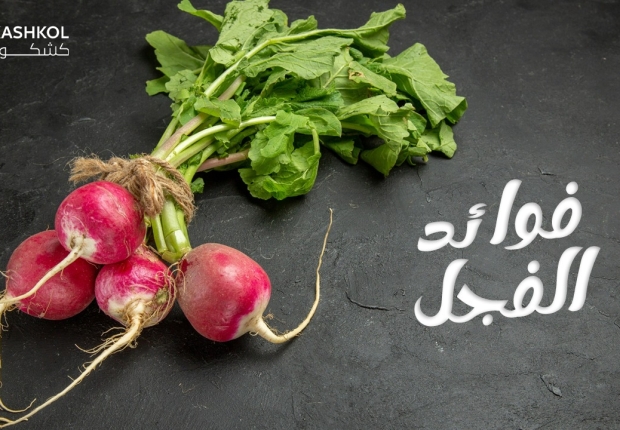 فوائد الفجل