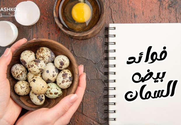 فوائد بيض السمان