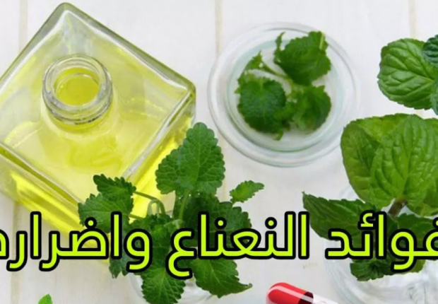 فوائد النعناع واضراره