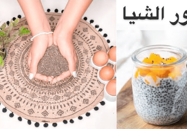 بذور الشيا لزيادة الوزن