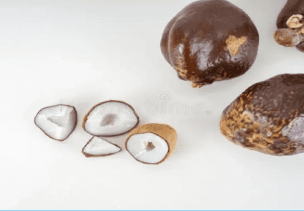 فوائد الدوم للبروستاتا